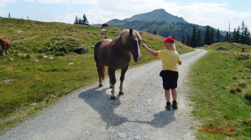 bild(24)